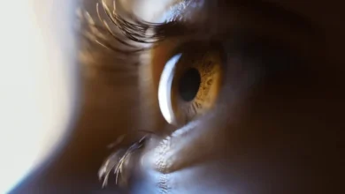 Saúde dos Seus Olhos
